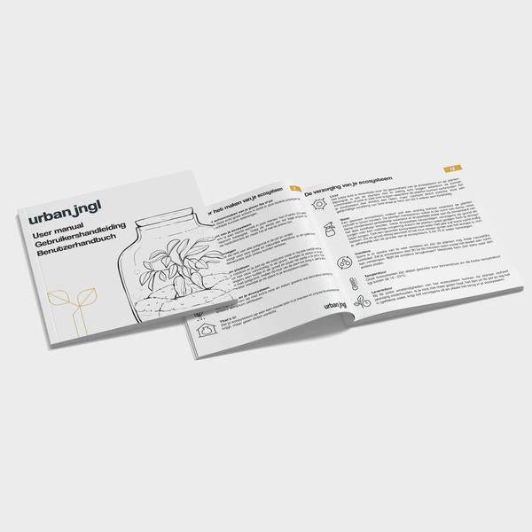 Flaschengarten-Set - Calathea Lancifolia - Nachfüllpackung & Starter-Kit-DIY