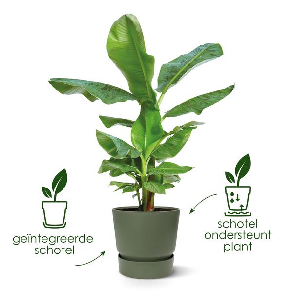 Greenville Pflanztopf Schwarz – D24 x H23 – Moderner Blumentopf für Innen & Außen – Stilvolles Pflanzgefäß – Dekorativer Übertopf für Zimmer- & Gartenpflanzen