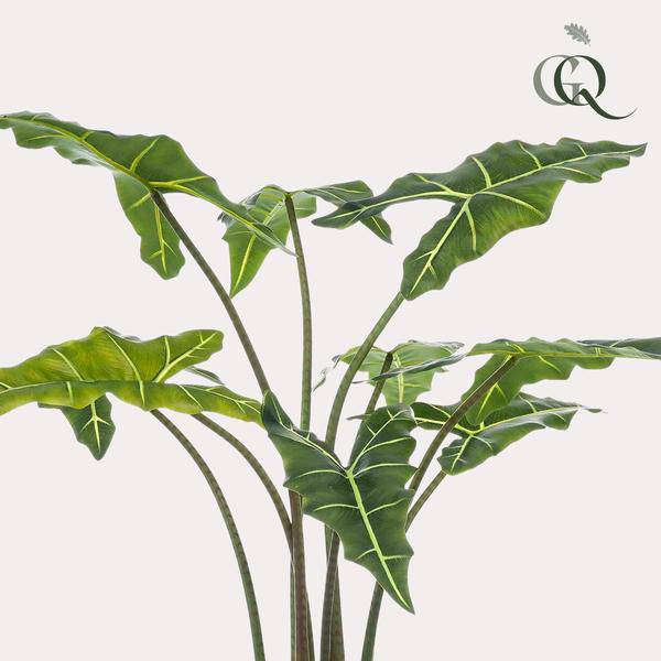 Kunstpflanze - Alocasia Frydek - 120 cm