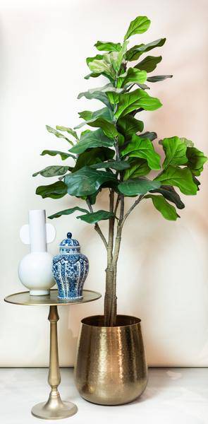 Kunstpflanze - Ficus Lyrata - Tabakpflanze - 180 cm