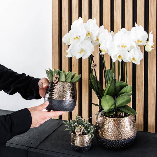 Elite Topf Kupfer - Ø12cm