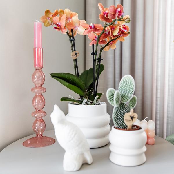 Bubble-Topf Weiß - Ø9cm