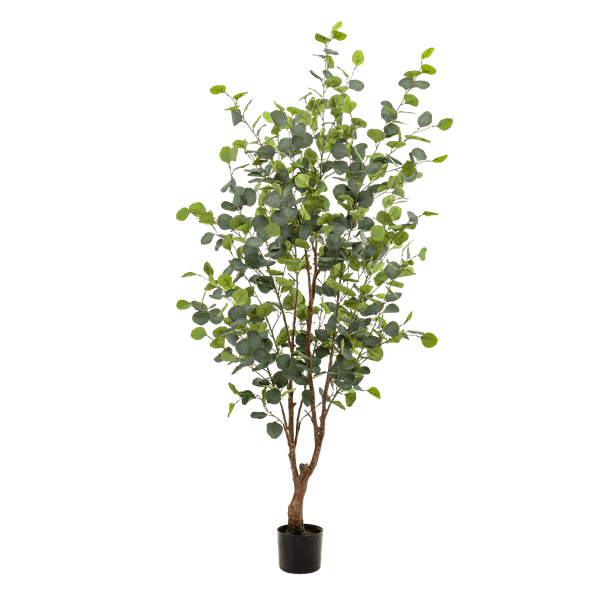 Kunstpflanze Eukalyptusbaum – Blue Gum Tree – ca. 140cm hoch – Täuschend echt & pflegefrei – Für Wohnzimmer, Büro & dunkle Räume – Immergrün & stilvoll