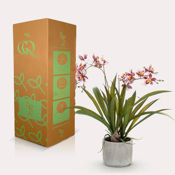 Künstliche Pflanze - Orchidee - Bordeaux - ↨45cm