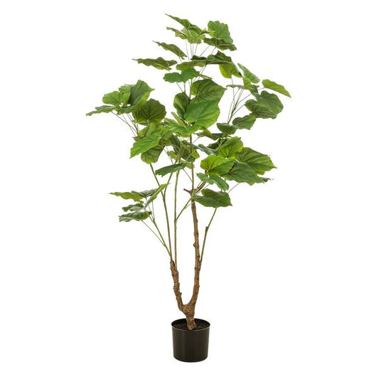 Ficus umbellate - Afrikanische Feige - Kunstpflanze - Zimmerpflanze - ↕125cm