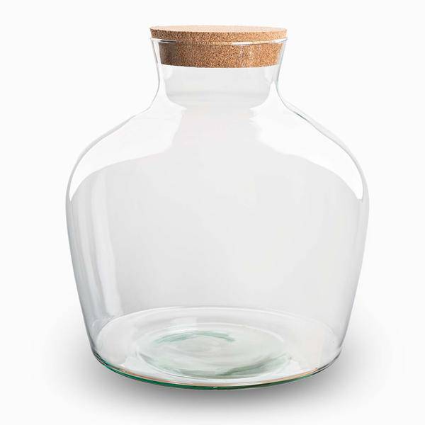 Flaschengarten - Fat Joe - Terrarium Flasche mit Kork - Geschlossenes Terrarium - ↑30cm