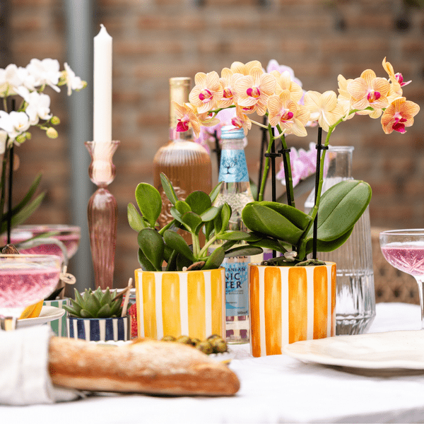 Topf - Bemalter Streifen - Gelb - Ø9cm