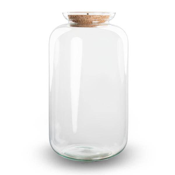 Flaschengarten - Terrarium Flasche + LED in Kork - Sven XL - ↑43cm – Recyceltes Glas – Geschlossenes Terrarium – Mit Beleuchtung