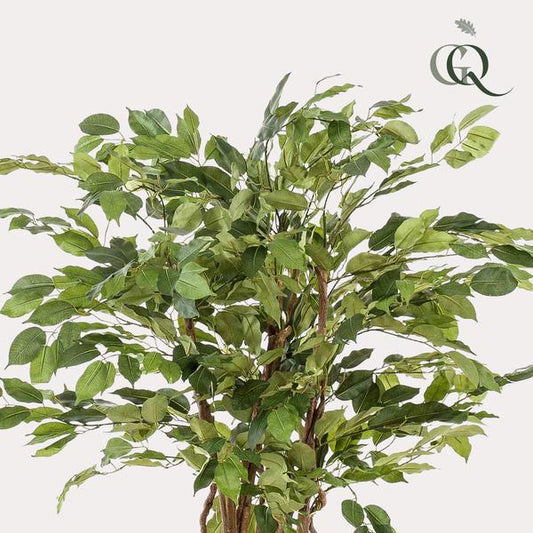 Ficus Liana – Künstliche Zimmerpflanze – ↕140 cm – Realistische Stiefmütterchen-Pflanze – Dekoration für Wohnzimmer, Flur & Wintergarten