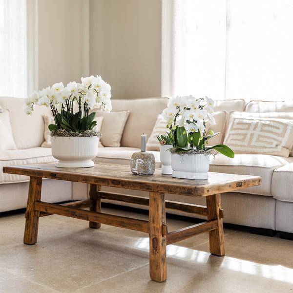 Topf Diabolo Weiß - Ø6cm