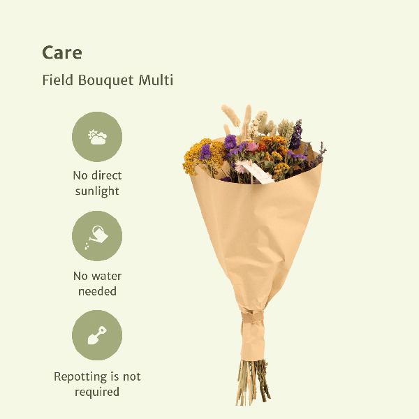 Trockenblumen Feldblumenstrauß Multi - Ø25cm - ↕60cm - Oasis of Life