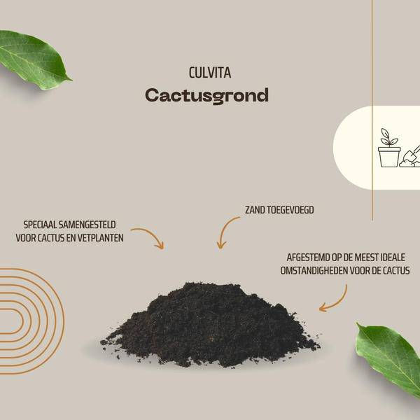 Culvita Kakteenerde – 5 Liter – Spezielle Blumenerde für Kakteen & Sukkulenten – Luftig, durchlässig & trockenheitsfreundlich – Ideal zum Ein- & Umtopfen