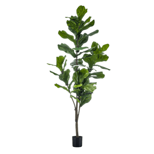 Kunstpflanze Ficus Lyrata – Geigen-Feige – 150 cm – Pflegeleicht & realistisch – Perfekt für Wohnzimmer & Büro