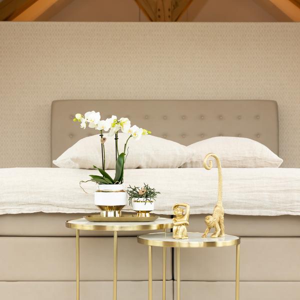 Le Chic Blumentopf – Weißer Keramiktopf mit goldenen Details – Ø6cm – Eleganter Ziertopf für Orchideen & Grünpflanzen – Glänzende Dekoration fürs Zuhause