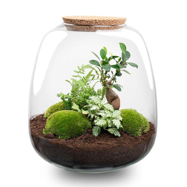 Flaschengarten Emma – DIY-Bausatz – 25 cm Höhe – Ø23 cm – Bonsai Weiß + LED – Pflanzenterrarium autark & dekorativ