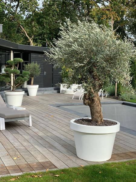 Topf Lira Weiß – Pflanzkübel Ø65cm x H58cm – Moderner weißer Pflanzgefäß – Wetterfest & Robust – Für große Zimmerpflanzen und Außenbereich