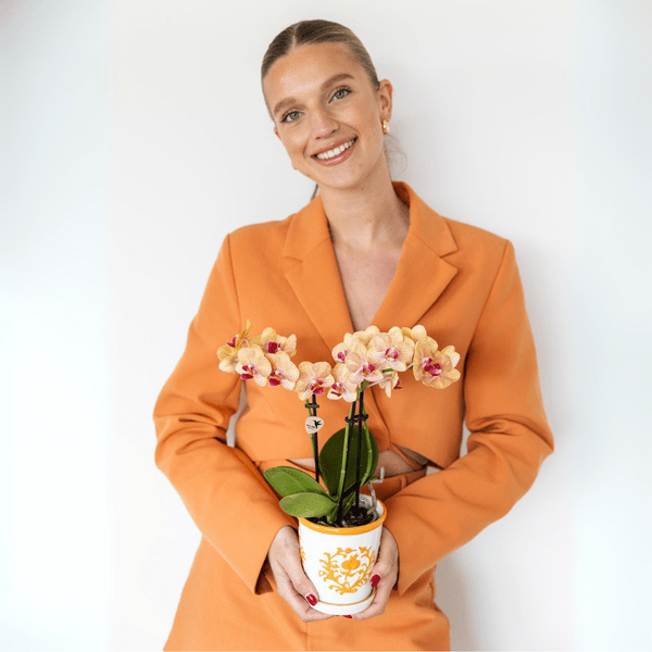 Malaga Blumentopf Orange Ø9cm – Dekorativer Keramiktopf in sommerlichem Design – Pflanzentopf für Zimmerpflanzen & Kräuter – Stilvolle Blumendeko für Wohnzimmer, Küche & Büro