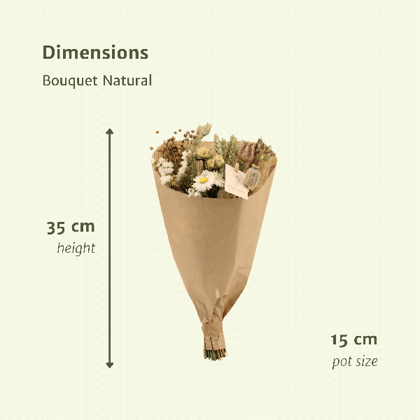 Trockenblumen Feldblumenstrauß Natürlich – Blumenstrauß – Ø15cm ↕35cm – Natürliche Farben – Getrocknete Blumen – Nachhaltige Deko – Pflegefrei