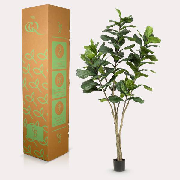 Ficus Lyrara - Tabakpflanze - Zimmerpflanze - Kunstpflanze - ↕210cm
