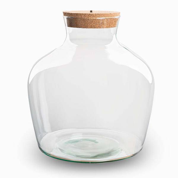 Flaschengarten – Terrarienflasche Fat Joe – geschlossenes Terrarium mit Korkdeckel – H30cm – Klarglas – aus recyceltem Glas – DIY Pflanzengefäß