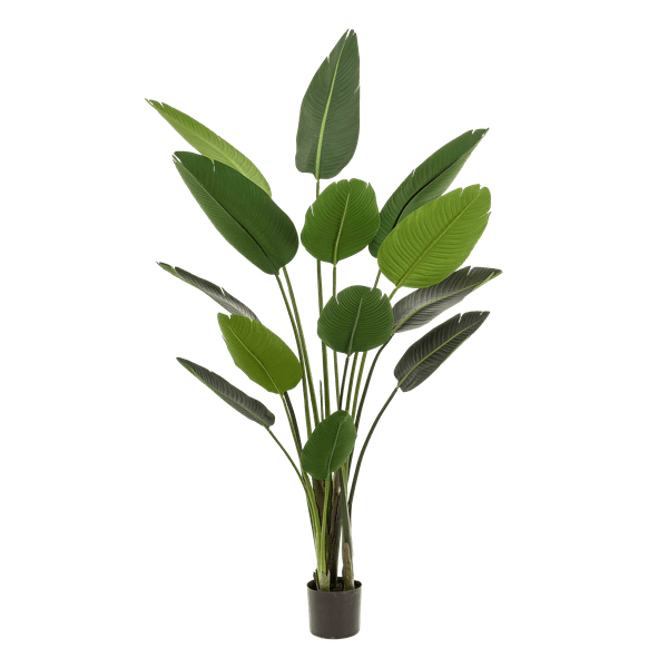 Kunstpflanze - Strelitzia Nicolai - Paradiesvogelblume - 190 cm
