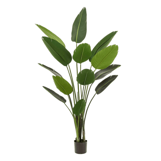 Kunstpflanze - Strelitzia Nicolai - Paradiesvogelblume - 190 cm