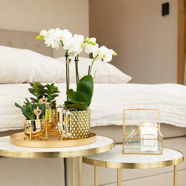 Blumentopf Diamant – Gold – Ø9cm – Keramik-Ziertopf mit Rautenmuster & Metallic-Finish – Handgefertigt – Für Orchideen, Sukkulenten & Zimmerpflanzen – Dekotopf für Wohnzimmer & Büro