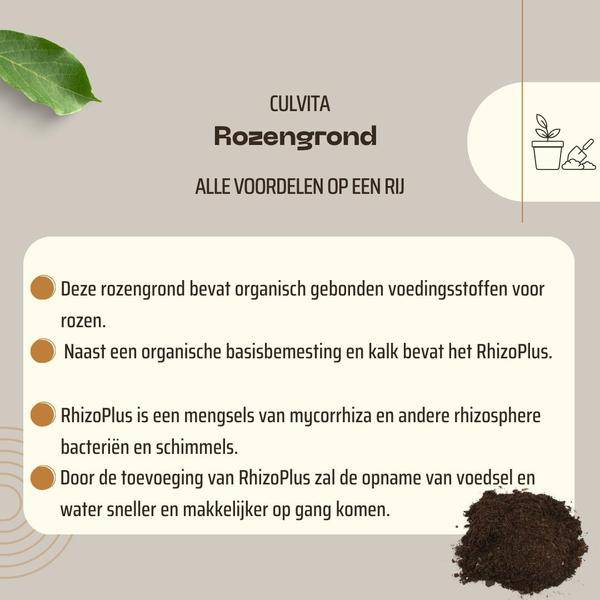Rosenerde 40 Liter – Spezielle Blumenerde für Garten-, Topf- & Terrassenrosen – mit RhizoPlus Wurzelverbesserer – Organischer Langzeitdünger
