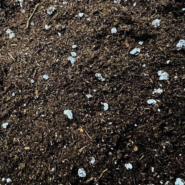 Blumenerde für Anthurium und Farne - Anthurium und Fernerde - 5 Liter