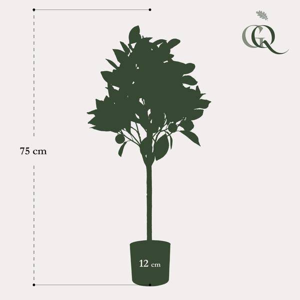 Kunstpflanze - Citrus Sinensis - Orangenbaum - 75 cm