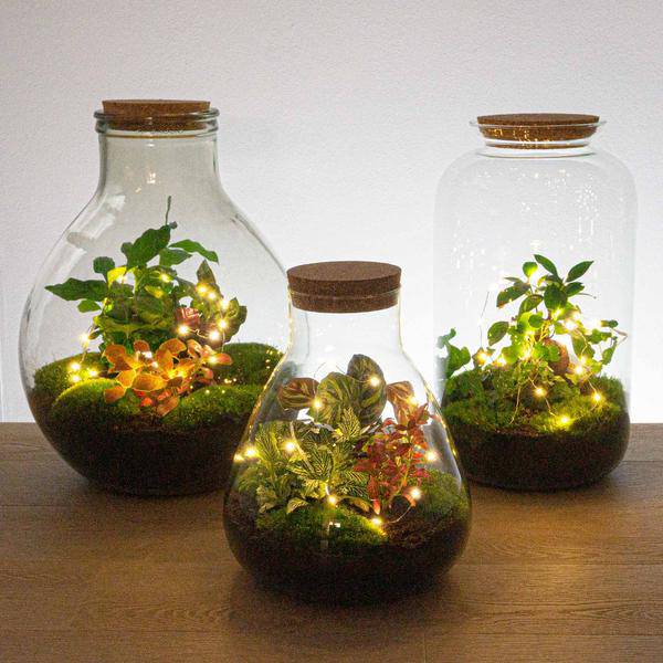 Batteriebetriebene Draht-Lichterkette 1m – 20 warmweiße LED – Flexibles Deko-Licht für Terrarien, Weihnachtsdeko, Fensterbank & mehr – Mit Batteriebox & An/Aus-Schalter