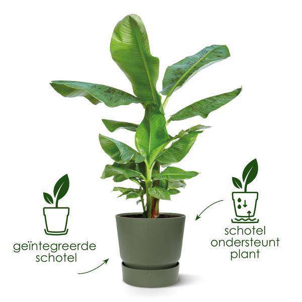 Greenville Pflanztopf Grün – D18 x H17 – Moderner Blumentopf für Innen & Außen – Stilvolles Pflanzgefäß – Dekorativer Übertopf für Zimmerpflanzen & Balkon