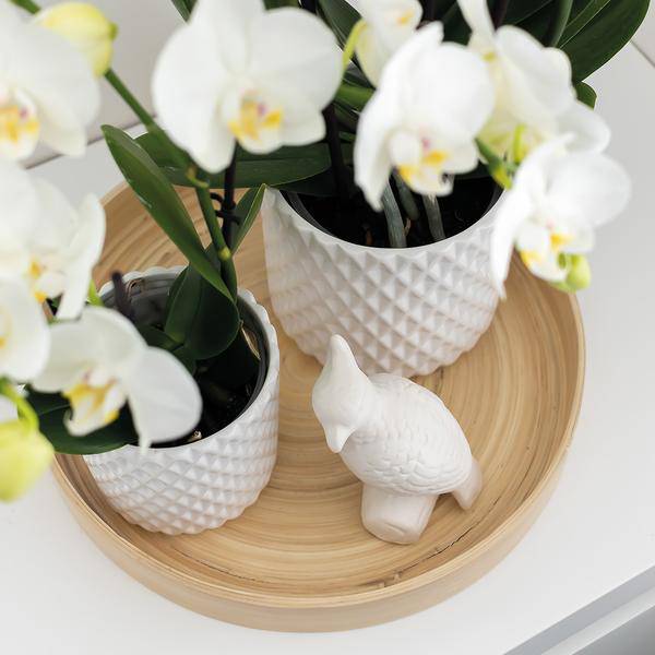 Deko-Skulptur Kakadu – Weiß – H12cm – Ornament aus Polystone – Vogel auf Stab – Dekofigur für Zimmerpflanzen & Blumentöpfe
