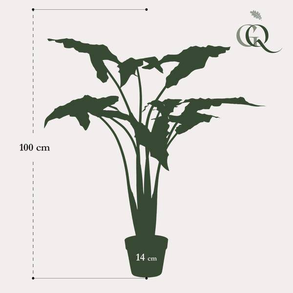 Kunstpflanze - Alocasia Frydek - 120 cm