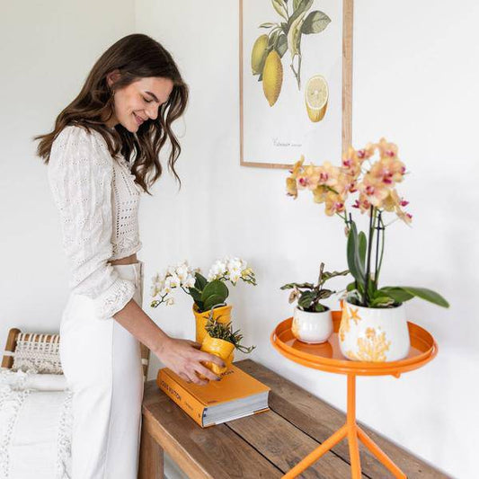 Fisch Dekotopf Gelb – Keramik Pflanztopf Ø6cm – Handgefertigtes Fisch-Design – Glänzende Glasur – Ideal für Sukkulenten & Kleine Pflanzen