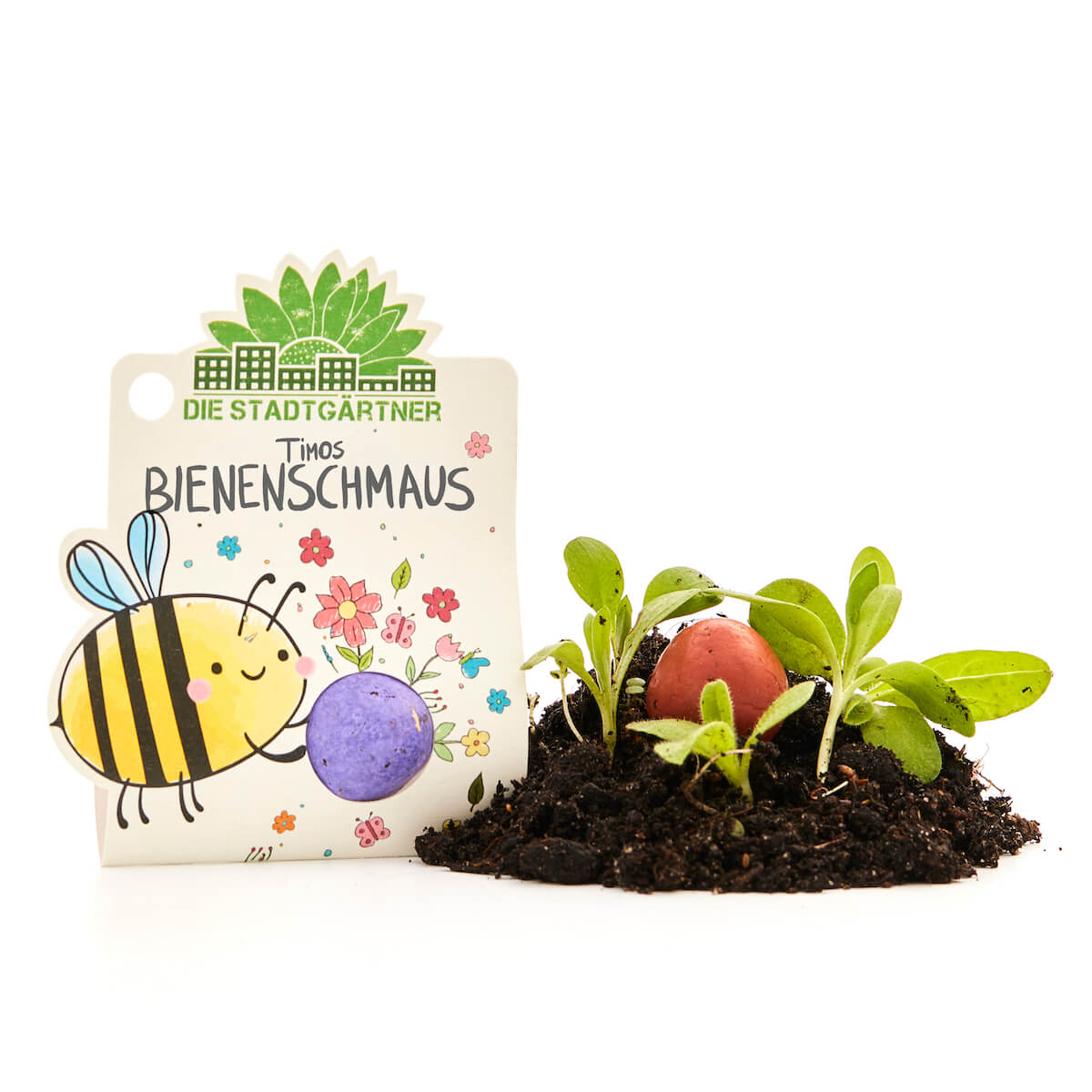 1 Blumenmurmel "Timos Bienenschmaus"