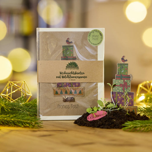 5 Weihnachtskarten im Set