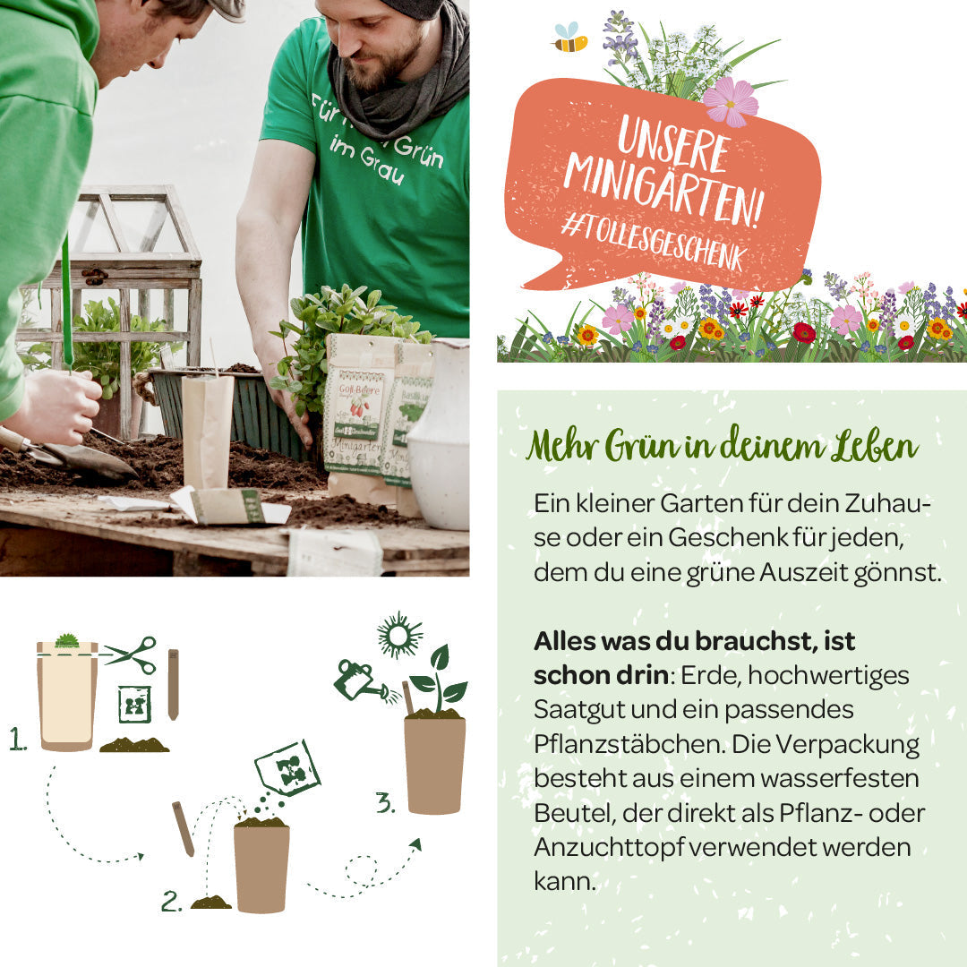 Anzuchtset – Minigarten Dill 