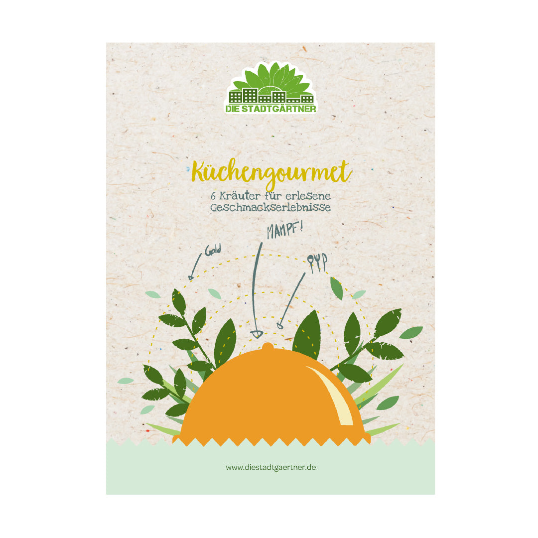 Kräuterkiste "Küchengourmet" 