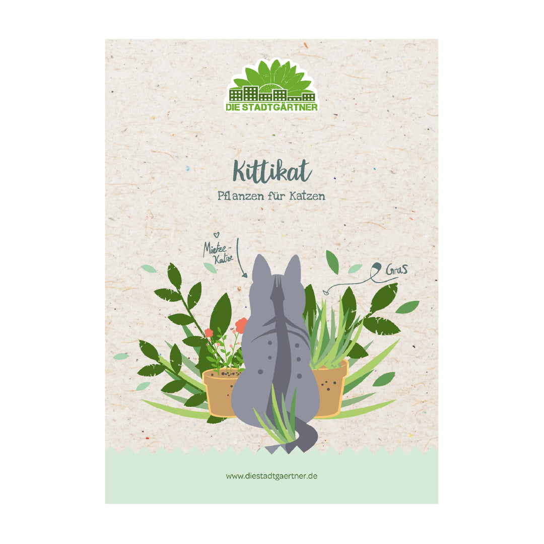 Kräuterkiste "Kittikat" 