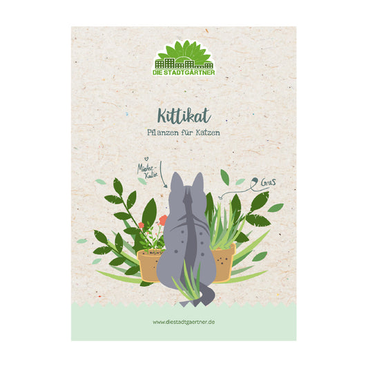 Kräuterkiste "Kittikat" 