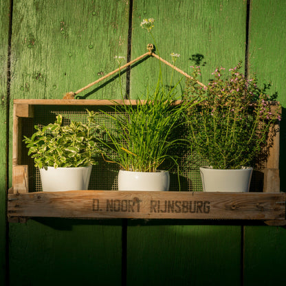 Breites Gartenregal aus Zwiebelsieb 
