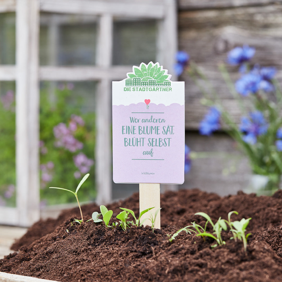 Saatgruß "Wer anderen eine Blume sät" 