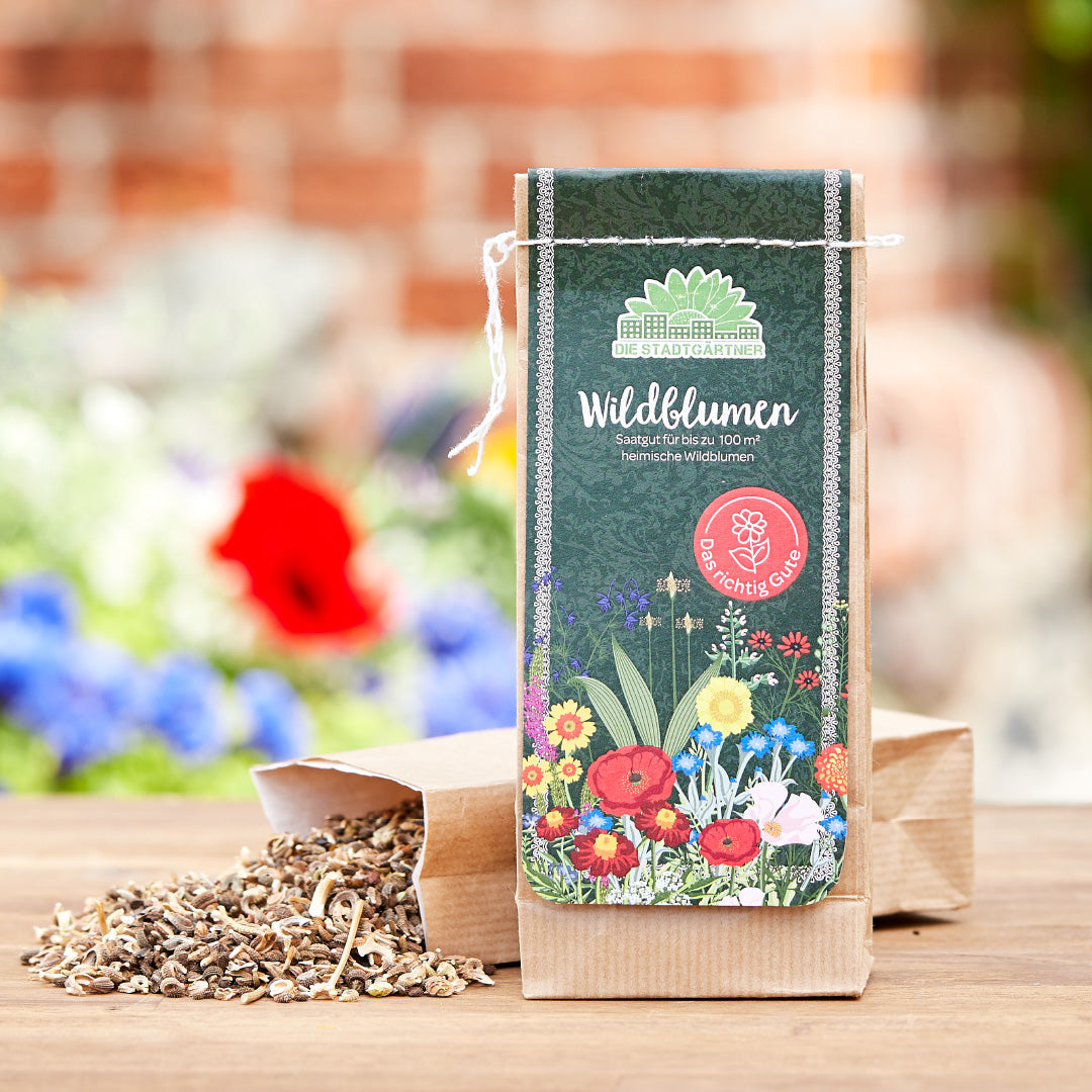 100 g Wildblumen-Saatgut 