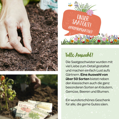 100 g Wildkräuter-Saatgut 