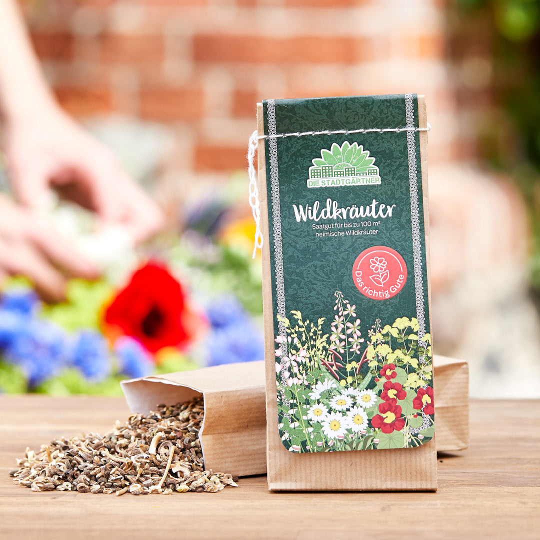 100 g Wildkräuter-Saatgut 
