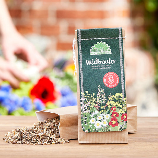 100 g Wildkräuter-Saatgut 