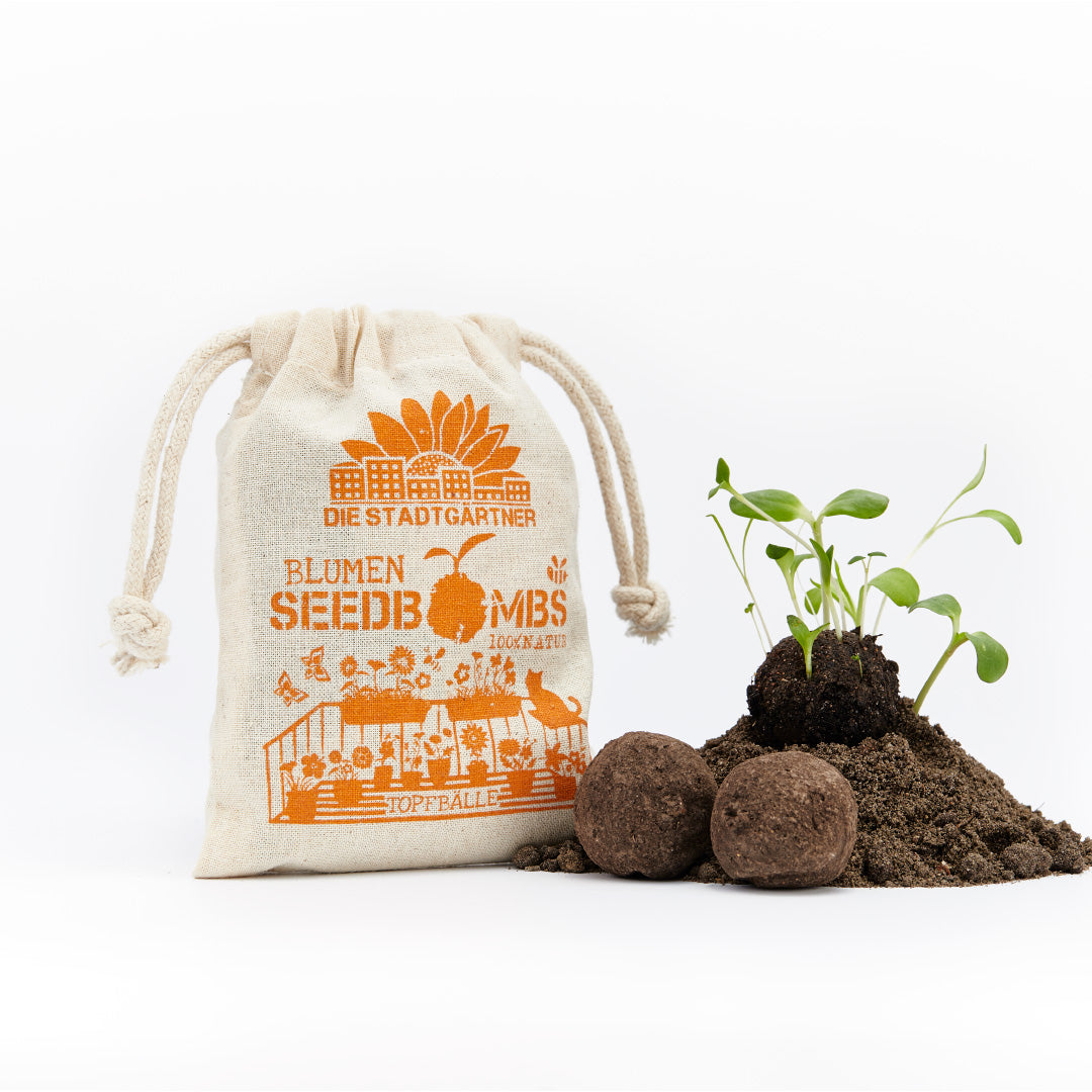 Samenbomben – Topfbälle 