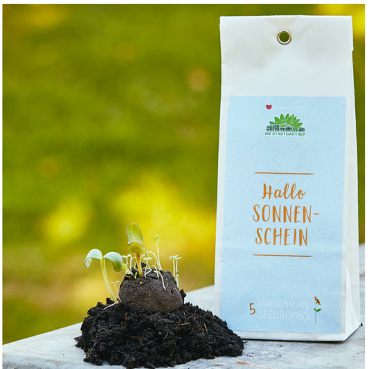 5 Samenbomben "Sonnenschein" 
