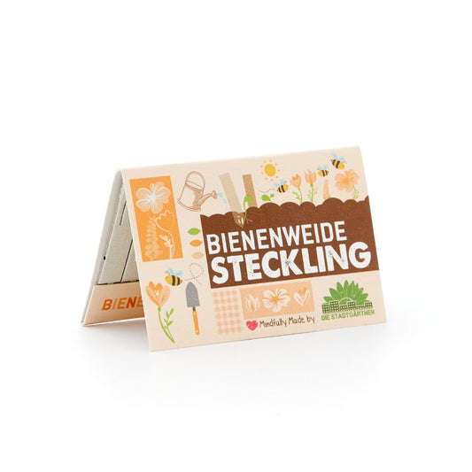 Saatgut-Steckling "Bienenweide" 